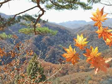 山西医院套取医保基金案曝光，监管漏洞与制度反思